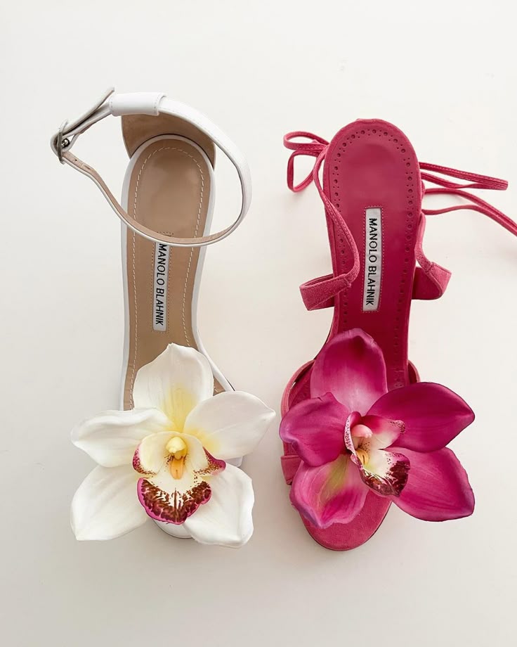 Orchidée